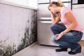 Why You Should Choose Our Mold Remediation Services in Eufaula, AL